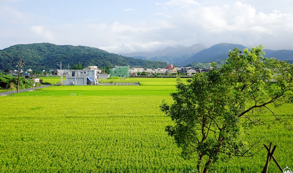 【宜蘭】蘇澳 好住 Good Living民宿｜面山臨海秘境景點  位於田中央的親子友善民宿 生態豐富還有一望無際的黃金稻波浪。