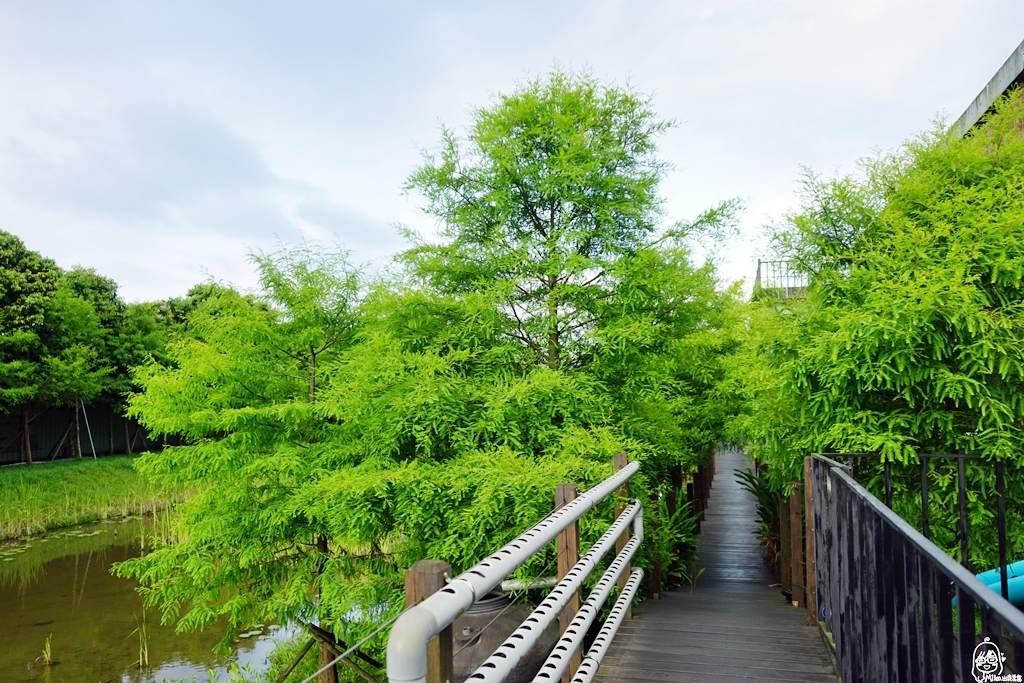 【宜蘭】蘇澳 好住 Good Living民宿｜面山臨海秘境景點  位於田中央的親子友善民宿 生態豐富還有一望無際的黃金稻波浪。