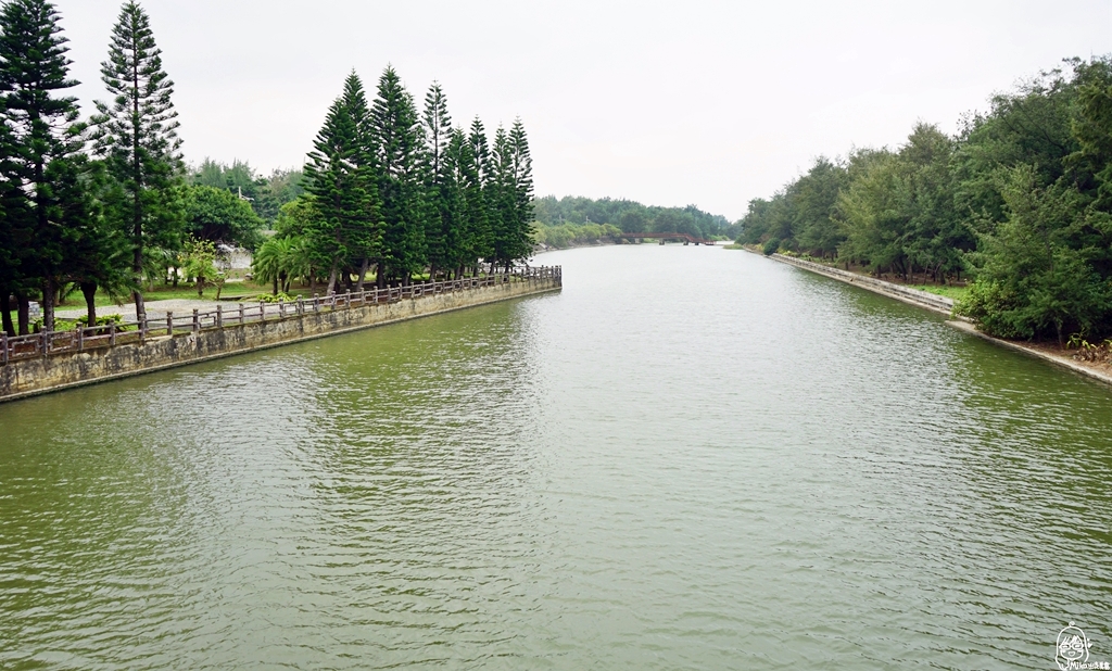 【桃園】新屋 永興社區 海客輕旅行一日遊｜觀新千年藻礁群 潮間帶生態/後湖溪划舟體驗/捕魚舊路古道 原始惡魔森林秘境探險/永安漁港周邊美食推薦。