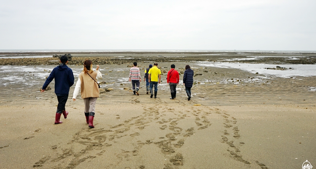 【桃園】新屋 永興社區 海客輕旅行一日遊｜觀新千年藻礁群 潮間帶生態/後湖溪划舟體驗/捕魚舊路古道 原始惡魔森林秘境探險/永安漁港周邊美食推薦。