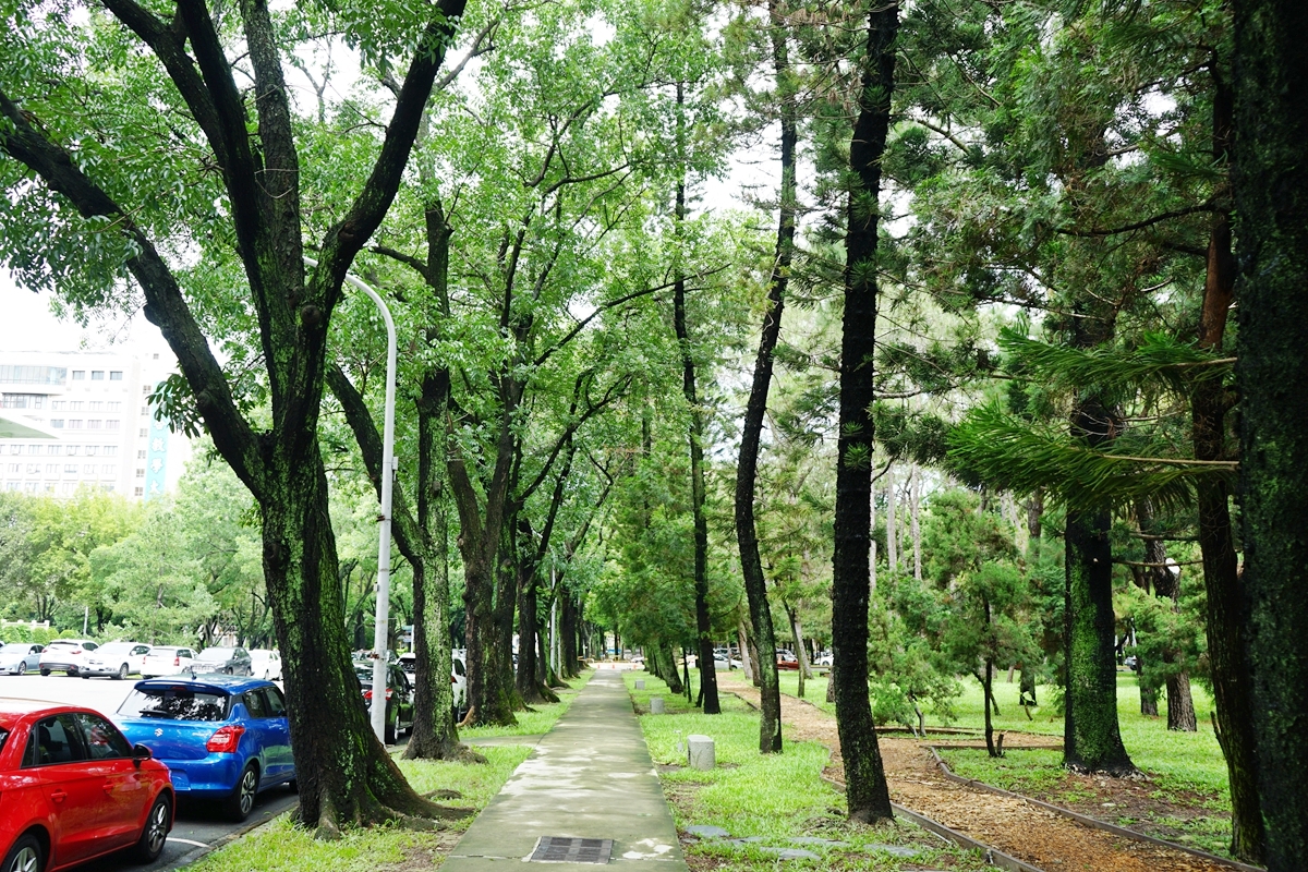 台中。來南區森活  精選免費親子景點、公園、圖書館 懶人包｜台鐵、高鐵 雙鐵共構  生活便利，被明星學區、綠意森活包圍的悠閒宜居潛力股 南區。