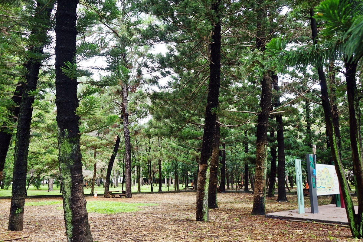 台中。來南區森活  精選免費親子景點、公園、圖書館 懶人包｜台鐵、高鐵 雙鐵共構  生活便利，被明星學區、綠意森活包圍的悠閒宜居潛力股 南區。