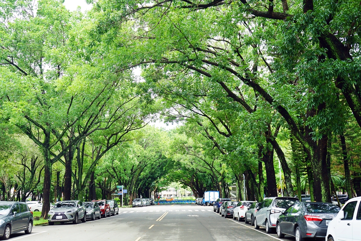 台中。來南區森活  精選免費親子景點、公園、圖書館 懶人包｜台鐵、高鐵 雙鐵共構  生活便利，被明星學區、綠意森活包圍的悠閒宜居潛力股 南區。