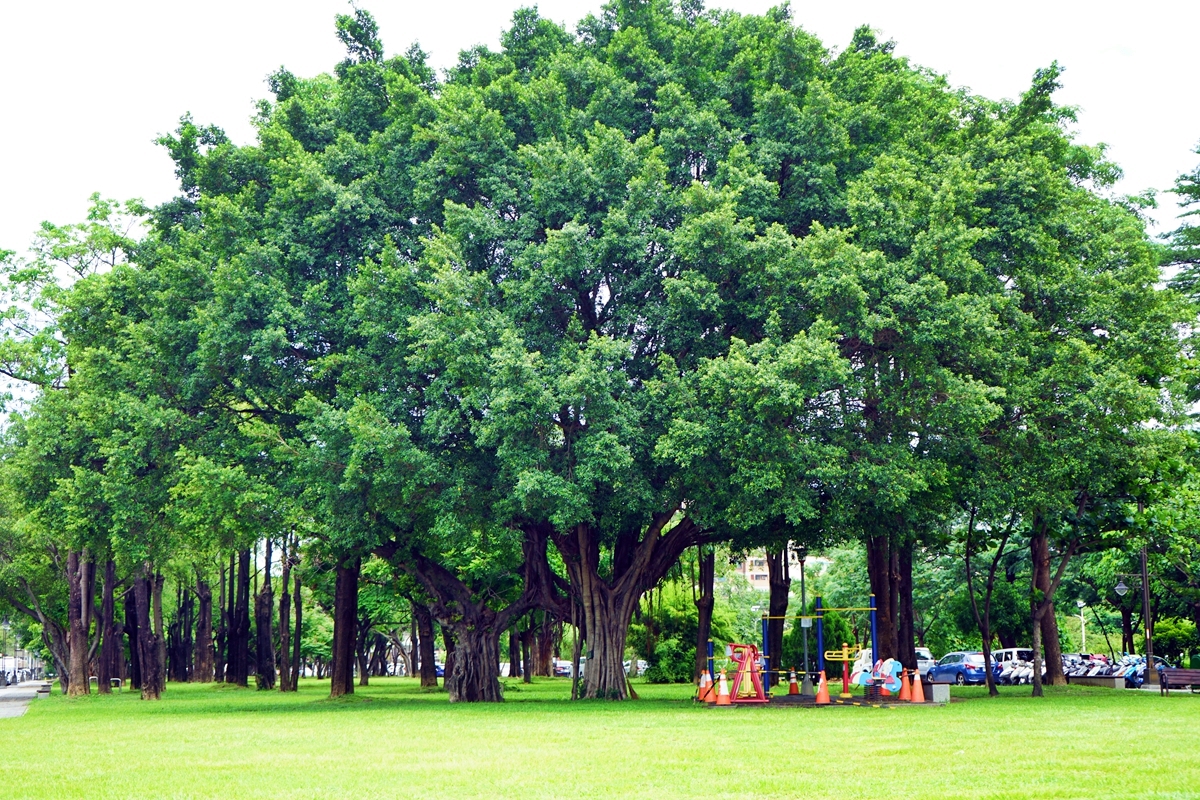 台中。來南區森活  精選免費親子景點、公園、圖書館 懶人包｜台鐵、高鐵 雙鐵共構  生活便利，被明星學區、綠意森活包圍的悠閒宜居潛力股 南區。