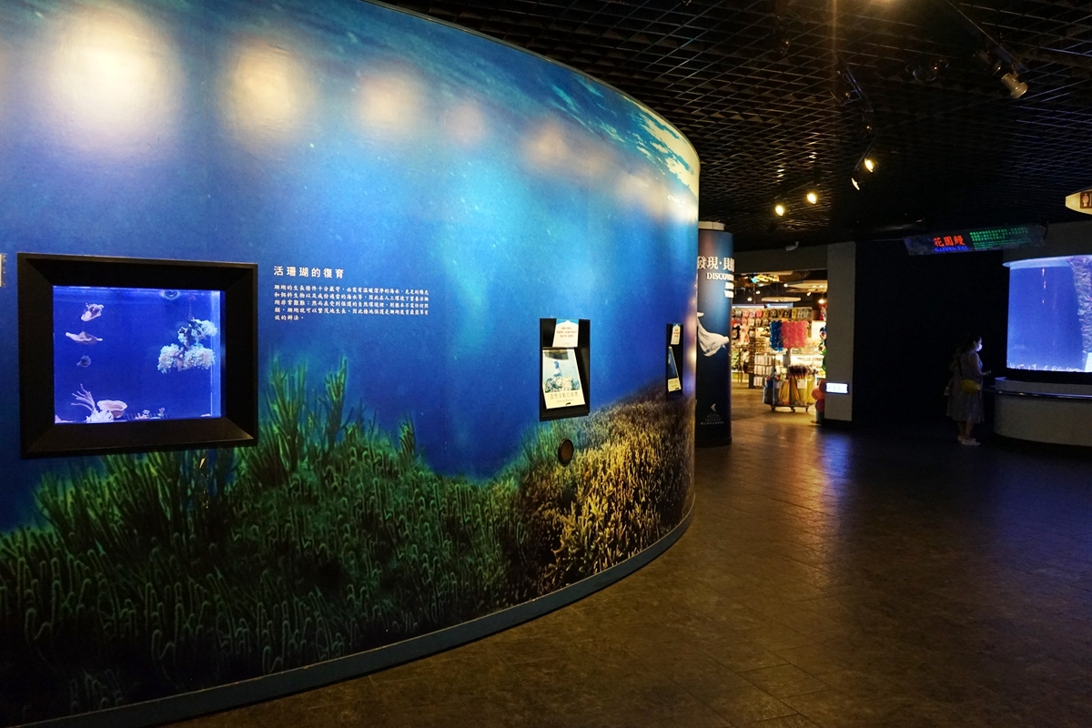 【屏東】 國立海洋生物博物館｜三大場館必看重點總整理懶人包，還有直擊海生館心臟 隱藏版後場海角秘境大公開。