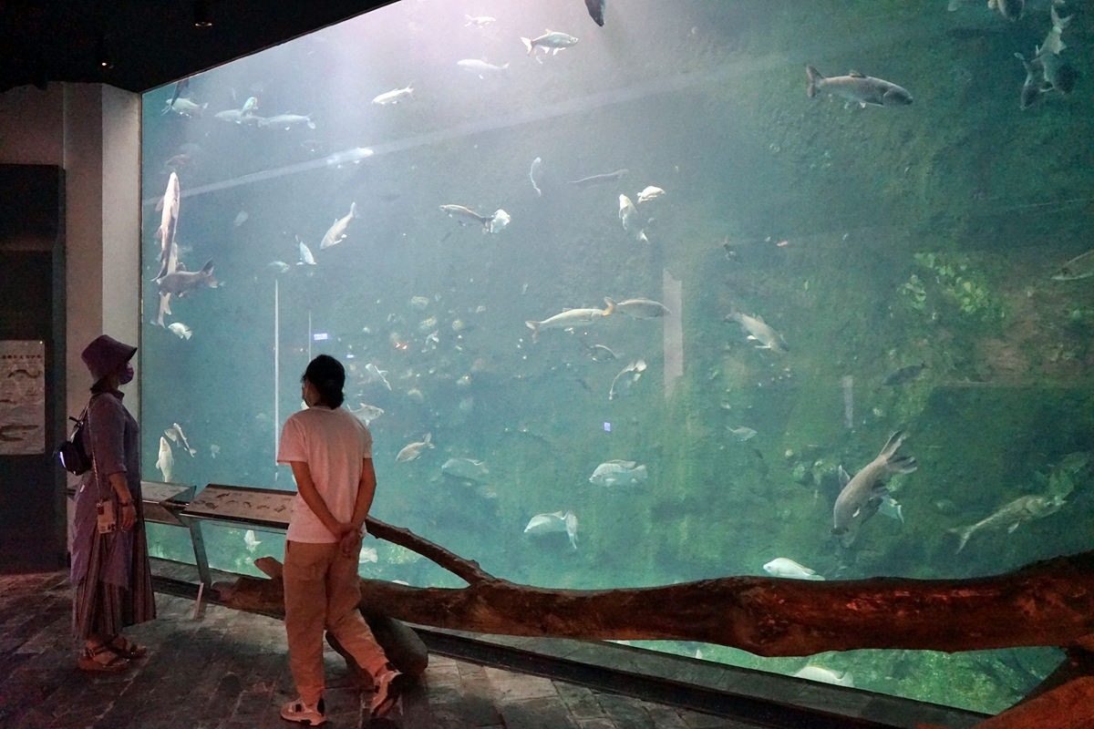 【屏東】 國立海洋生物博物館｜三大場館必看重點總整理懶人包，還有直擊海生館心臟 隱藏版後場海角秘境大公開。