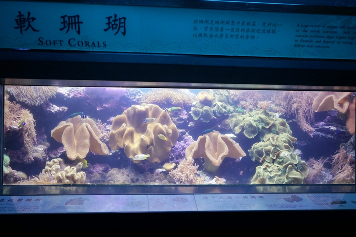 【屏東】 國立海洋生物博物館｜三大場館必看重點總整理懶人包，還有直擊海生館心臟 隱藏版後場海角秘境大公開。