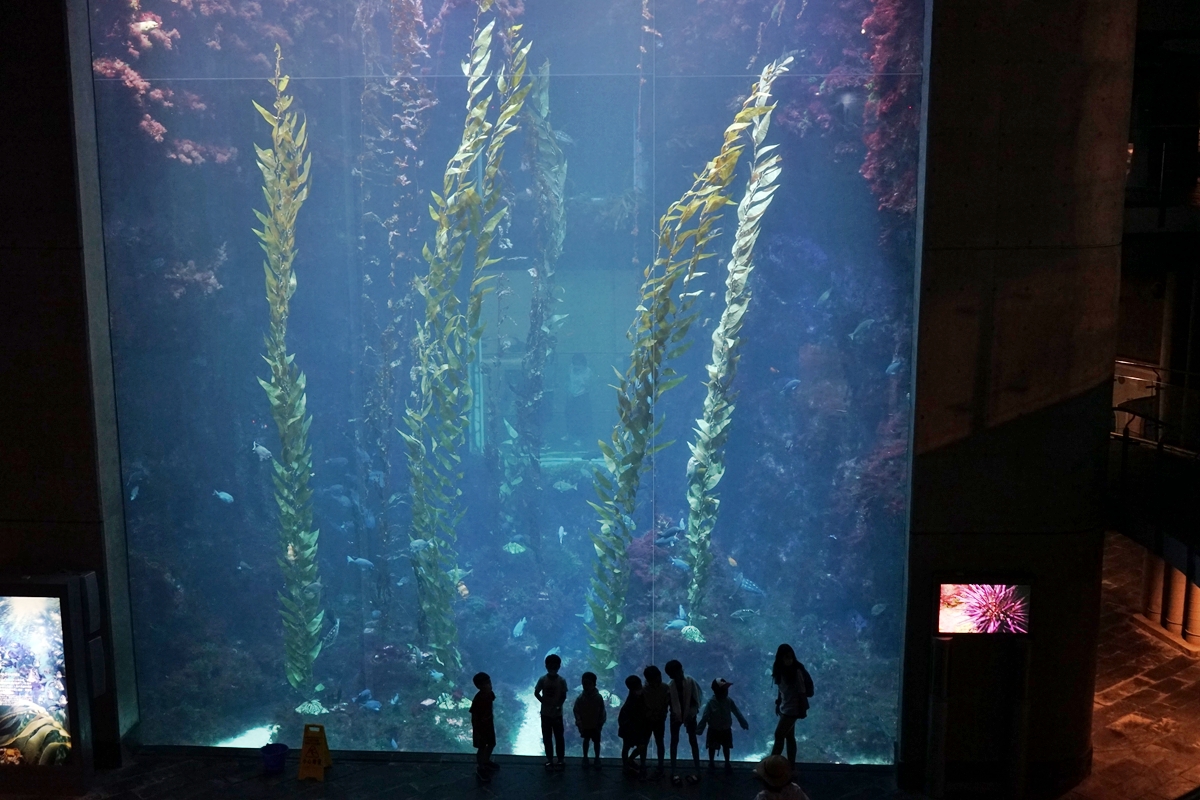 【屏東】 國立海洋生物博物館｜三大場館必看重點總整理懶人包，還有直擊海生館心臟 隱藏版後場海角秘境大公開。