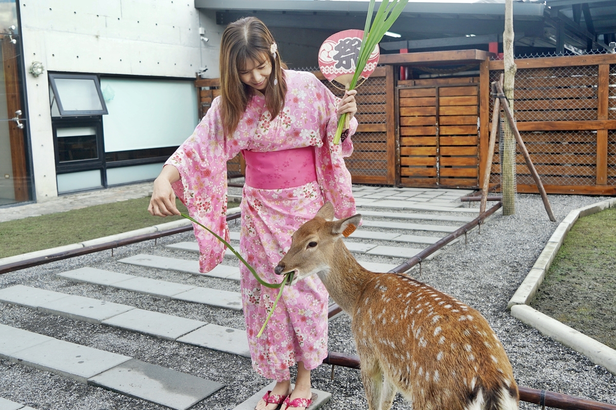 【宜蘭】 三星 張美阿嬤農場｜呆萌水豚君泡澡、小鹿斑比、袋鼠、草泥馬，超療癒景點，還有400坪日式庭院 日式浴衣租借、農事體驗、DIY套裝行程。