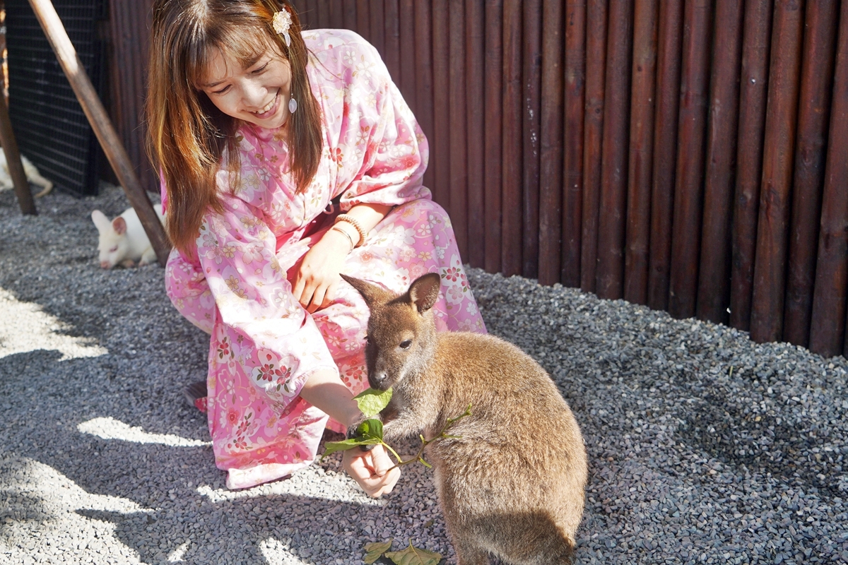 【宜蘭】 三星 張美阿嬤農場｜呆萌水豚君泡澡、小鹿斑比、袋鼠、草泥馬，超療癒景點，還有400坪日式庭院 日式浴衣租借、農事體驗、DIY套裝行程。