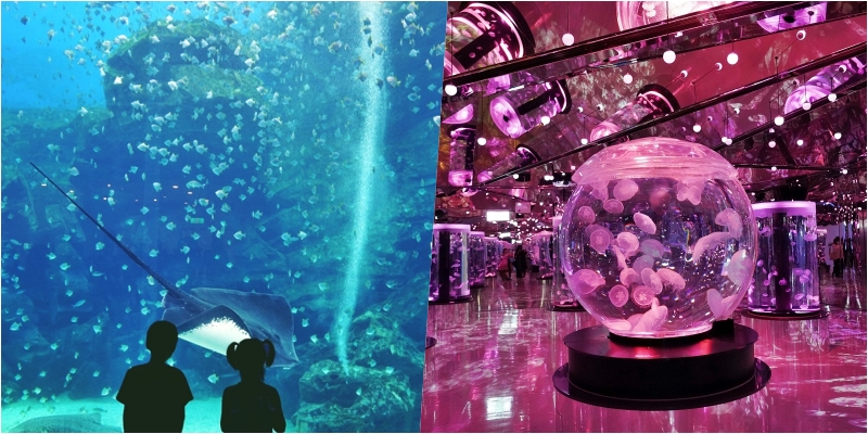 【桃園】八景島水族館 Xpark水生公園｜桃園最大也最美的水族館  打造不可思議的「海底之書」，超值必看重點懶人包！ @Mika出走美食日誌