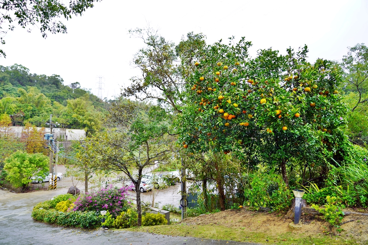 【苗栗】 慕雲想莊園B&B景觀餐廳 民宿｜頭屋交流道周邊 隱藏版的山中茶園別墅，擁有可觀星空景觀的房型，還有落羽松林、沙坑以及浪漫歐法晚宴。