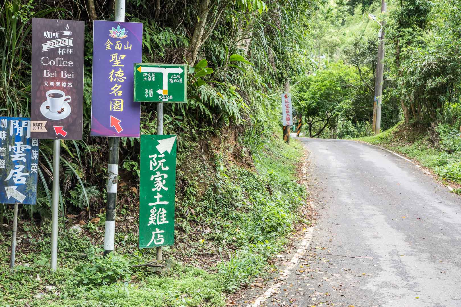 【桃園】 大溪 阮家莊土雞城-老大店｜登山秘境隱藏版土雞城，山路蜿蜒 登山客口耳相傳的美味，好吃便宜大份量。