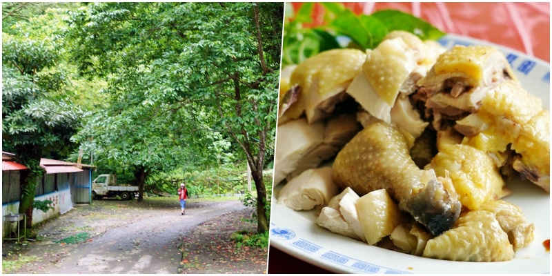 【桃園】 大溪 阮家莊土雞城-老大店｜登山秘境隱藏版土雞城，山路蜿蜒 登山客口耳相傳的美味，好吃便宜大份量。 @Mika出走美食日誌