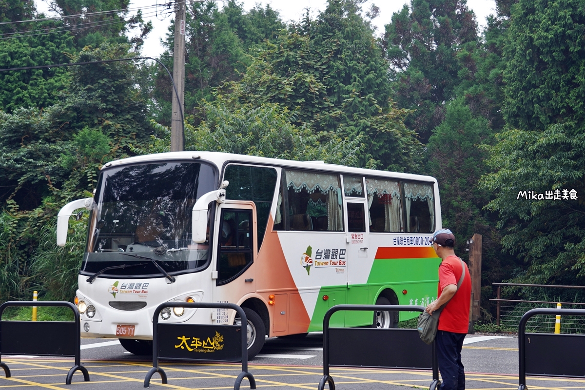 【宜蘭】 見晴懷古步道｜全球最美登山小徑之一，平路緩坡 雲霧繚繞的多霧森林，絕美森林鐵道遺跡。