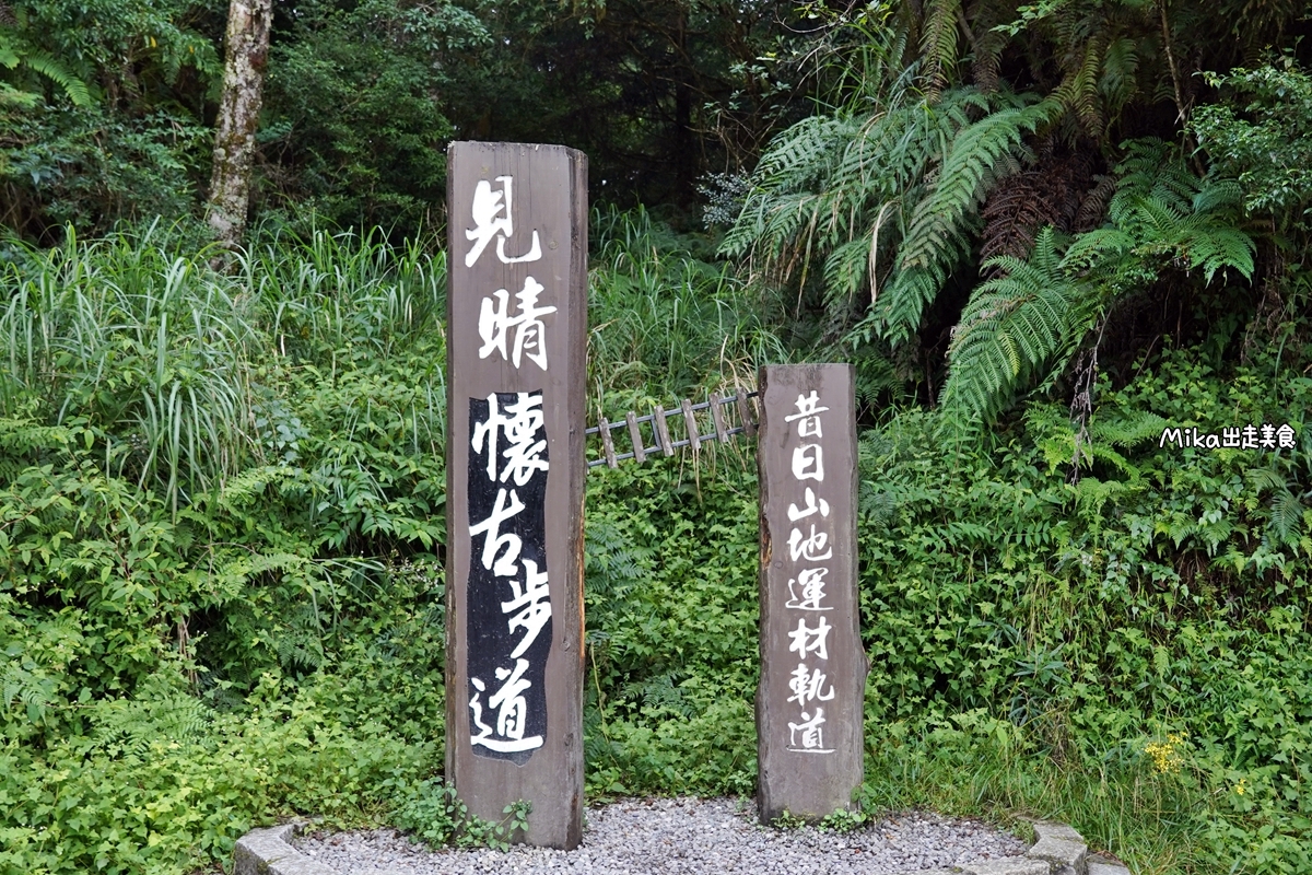 【宜蘭】 見晴懷古步道｜全球最美登山小徑之一，平路緩坡 雲霧繚繞的多霧森林，絕美森林鐵道遺跡。