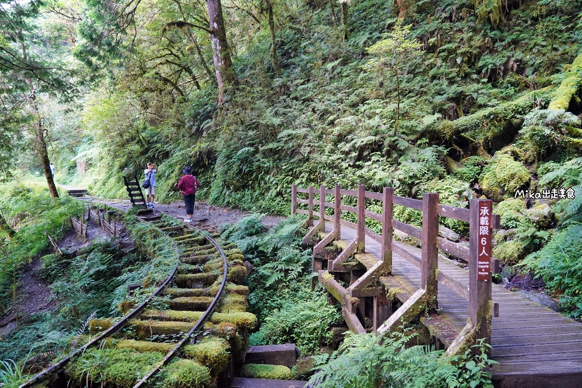 【宜蘭】 見晴懷古步道｜全球最美登山小徑之一，平路緩坡 雲霧繚繞的多霧森林，絕美森林鐵道遺跡。