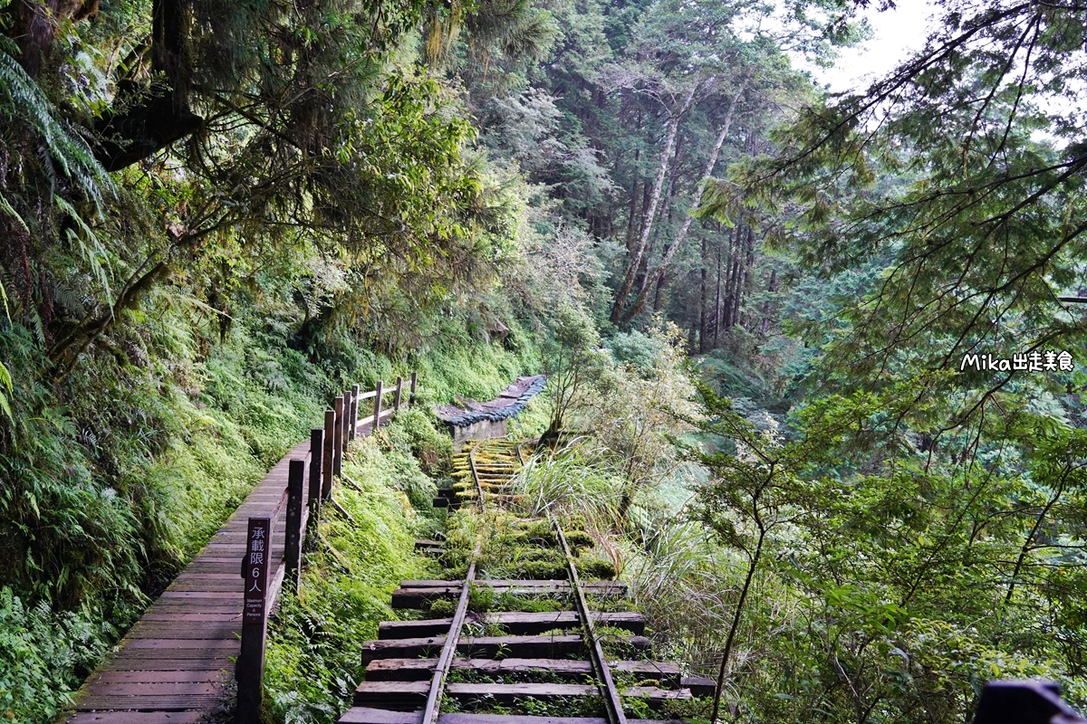 【宜蘭】 見晴懷古步道｜全球最美登山小徑之一，平路緩坡 雲霧繚繞的多霧森林，絕美森林鐵道遺跡。