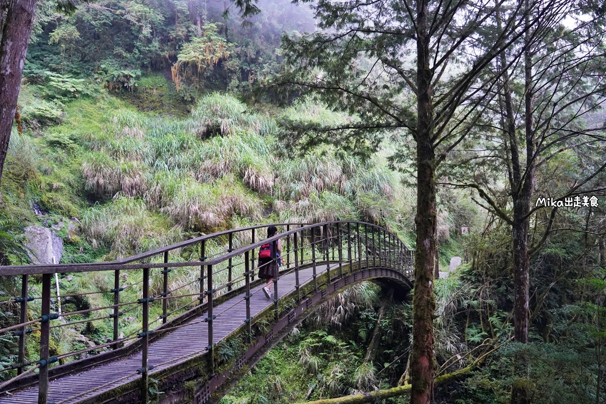 【宜蘭】 見晴懷古步道｜全球最美登山小徑之一，平路緩坡 雲霧繚繞的多霧森林，絕美森林鐵道遺跡。