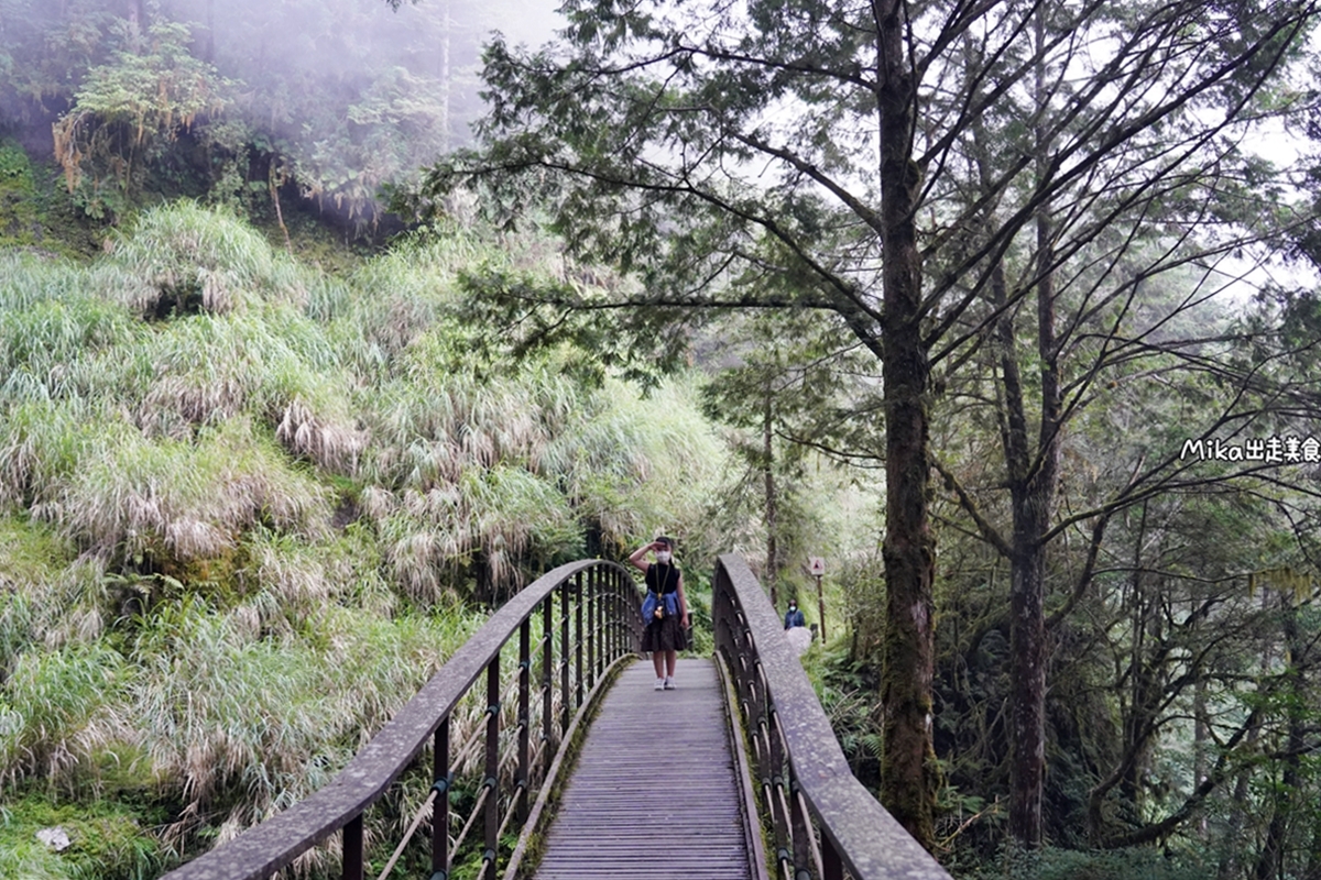 【宜蘭】 見晴懷古步道｜全球最美登山小徑之一，平路緩坡 雲霧繚繞的多霧森林，絕美森林鐵道遺跡。