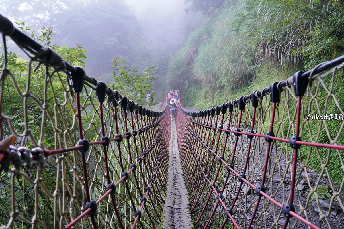 【宜蘭】 見晴懷古步道｜全球最美登山小徑之一，平路緩坡 雲霧繚繞的多霧森林，絕美森林鐵道遺跡。