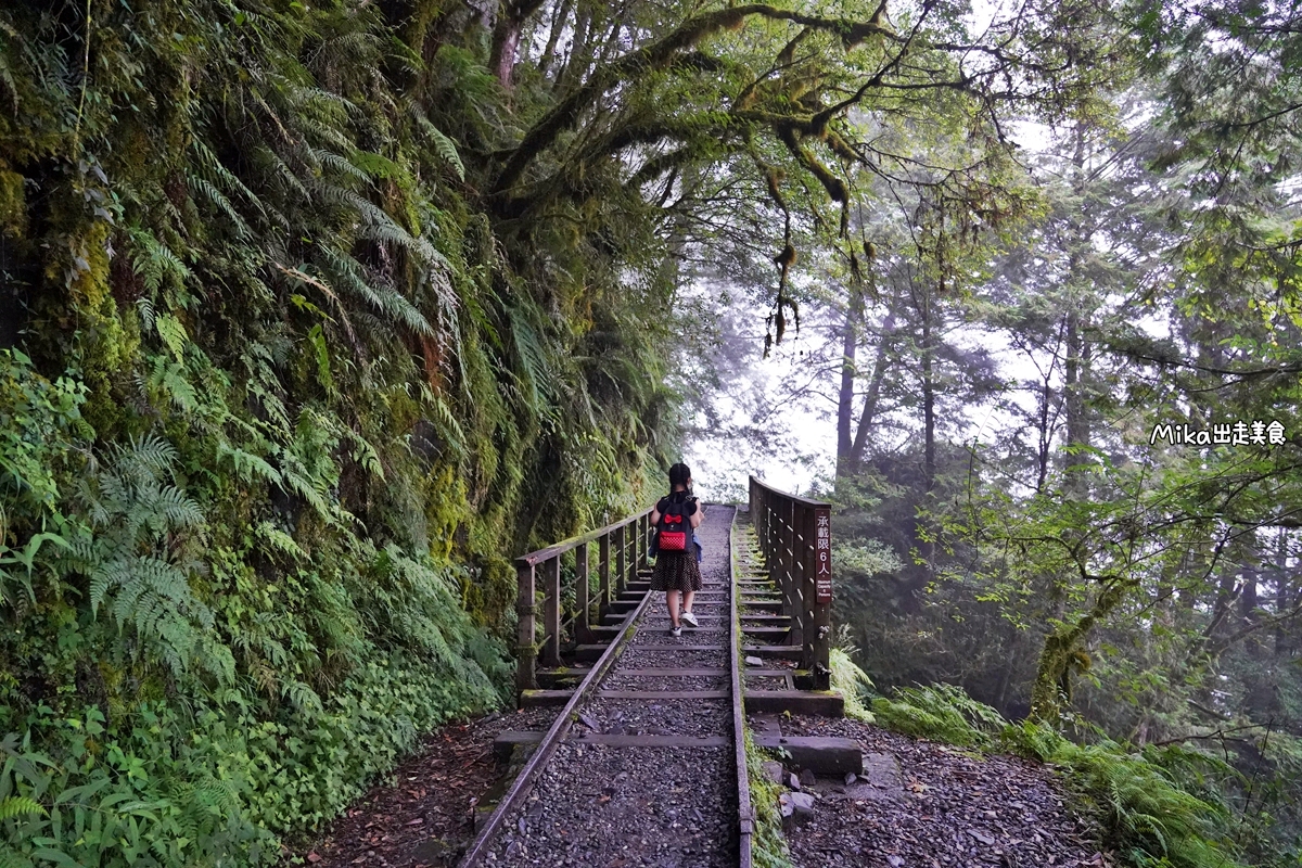 【宜蘭】 見晴懷古步道｜全球最美登山小徑之一，平路緩坡 雲霧繚繞的多霧森林，絕美森林鐵道遺跡。