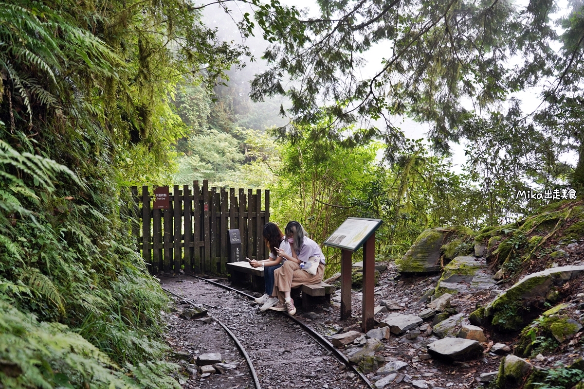 【宜蘭】 見晴懷古步道｜全球最美登山小徑之一，平路緩坡 雲霧繚繞的多霧森林，絕美森林鐵道遺跡。