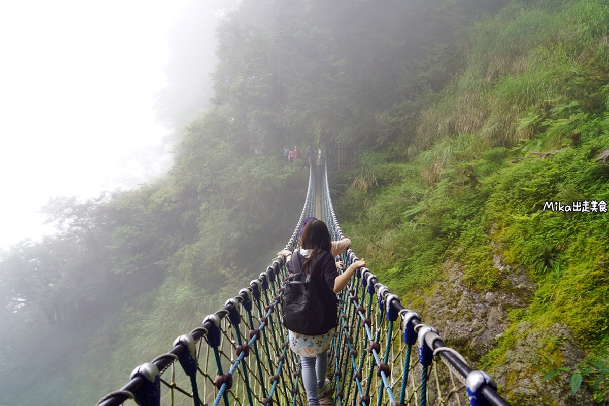 【宜蘭】 見晴懷古步道｜全球最美登山小徑之一，平路緩坡 雲霧繚繞的多霧森林，絕美森林鐵道遺跡。