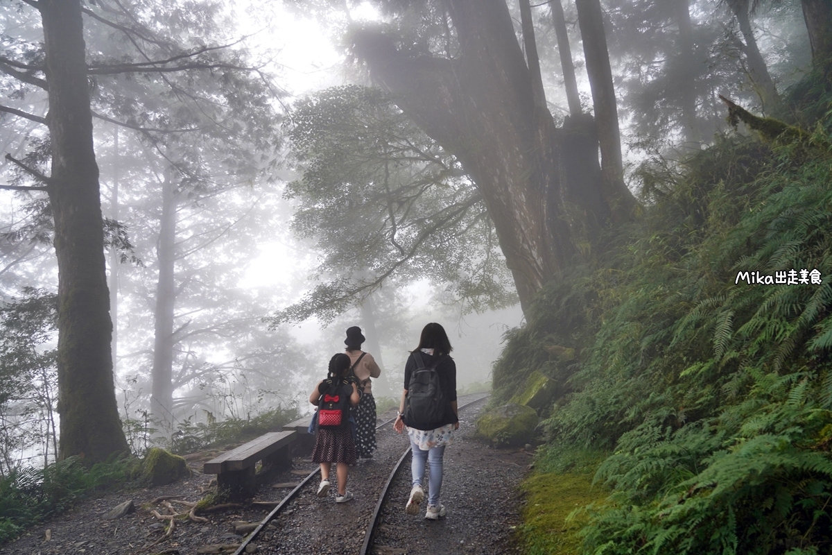 【宜蘭】 見晴懷古步道｜全球最美登山小徑之一，平路緩坡 雲霧繚繞的多霧森林，絕美森林鐵道遺跡。