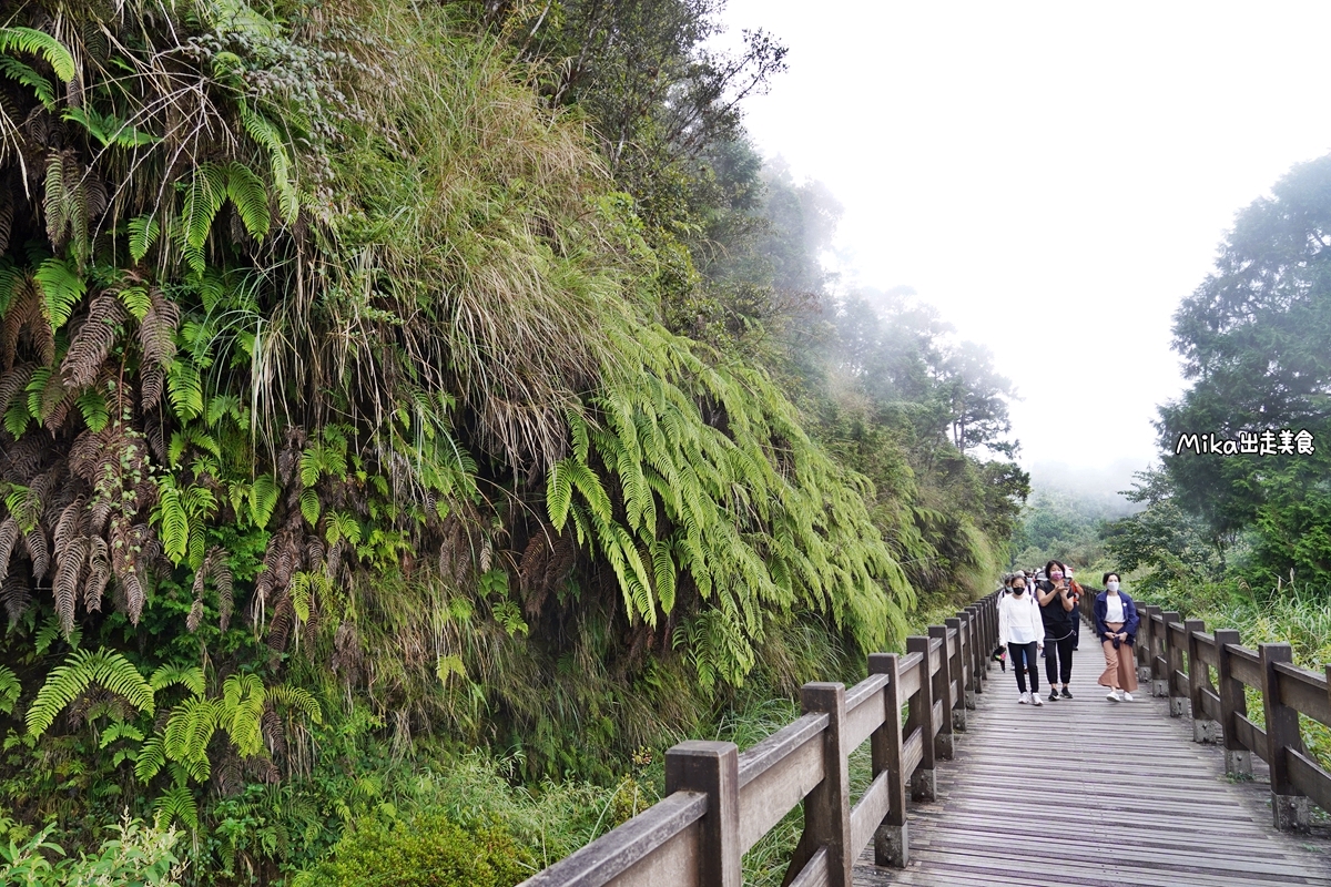 【宜蘭】 太平山 翠峰湖環山步道｜國際認證  全世界第一條寧靜步道底加啦！也是台灣面積最大的高山湖泊。