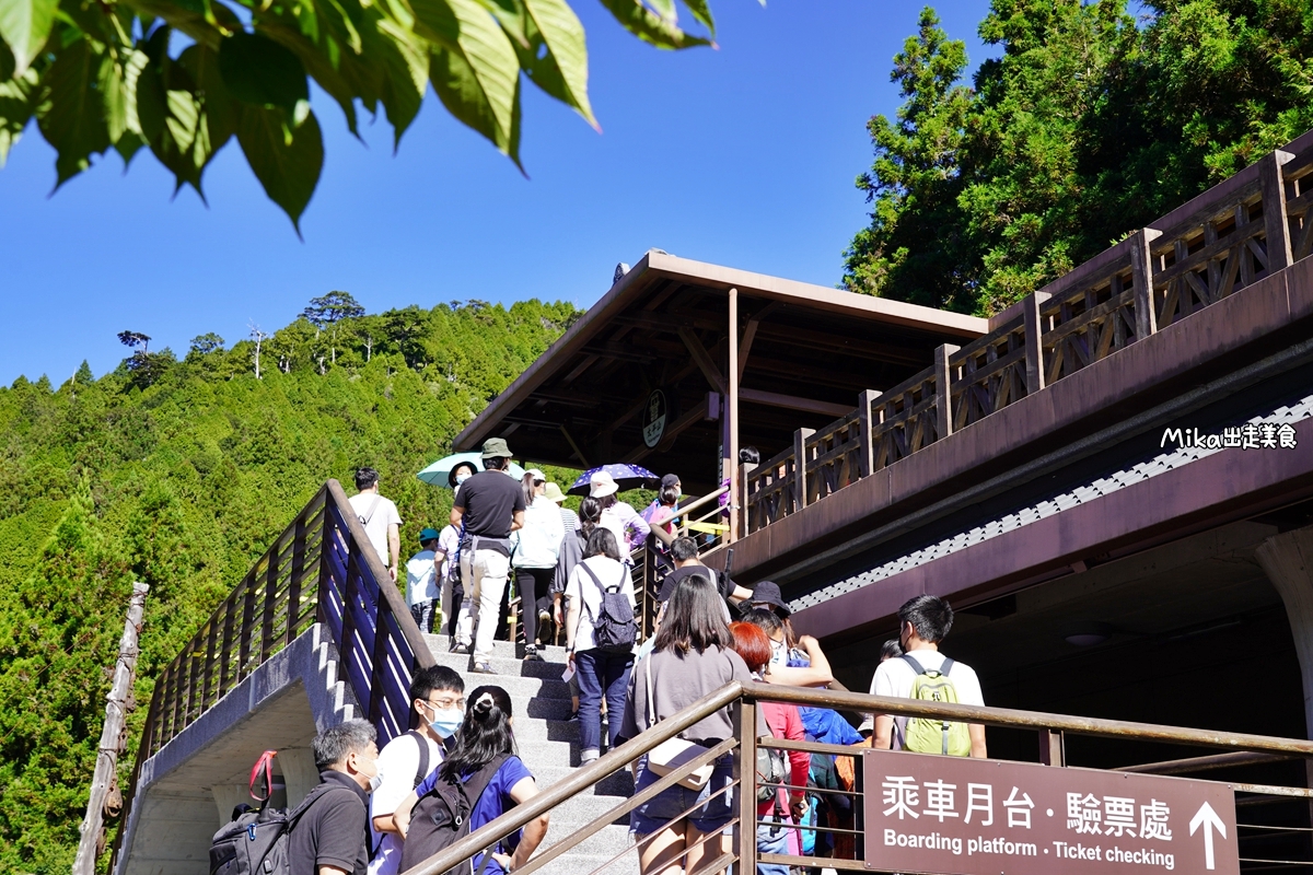 【宜蘭】蹦繃車 太平山站＆茂興懷舊步道｜穿梭在森林裡鐵道間黃色的柴油小火車，走入茂興懷舊步道間，沐浴參天巨木林中。