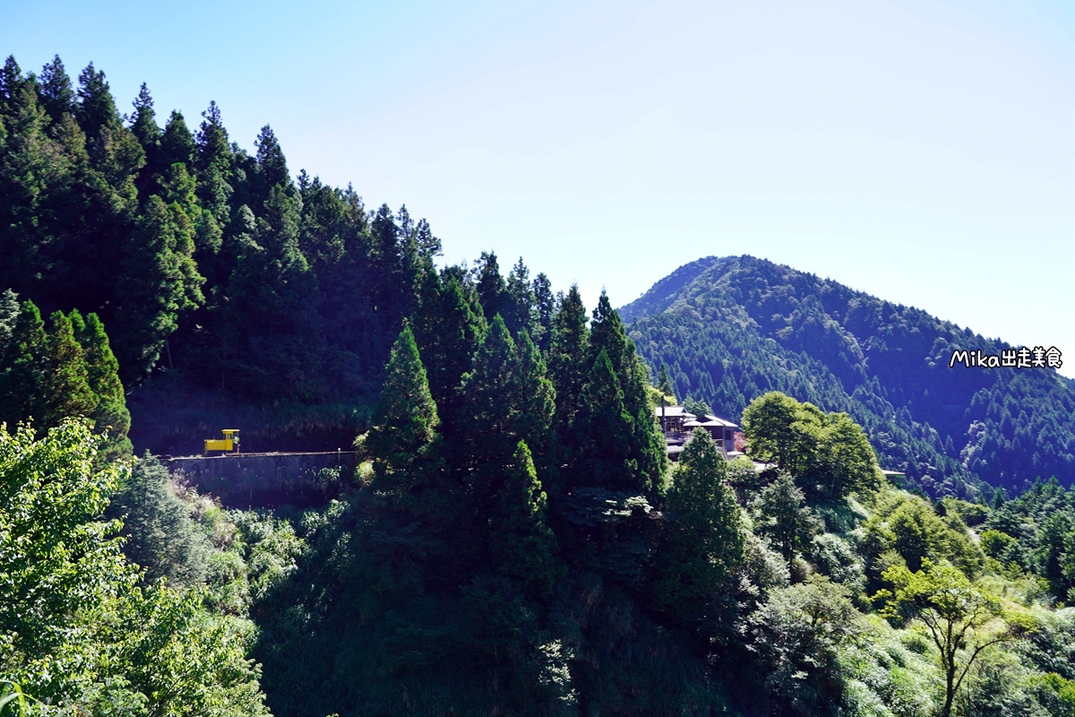 【宜蘭】蹦繃車 太平山站＆茂興懷舊步道｜穿梭在森林裡鐵道間黃色的柴油小火車，走入茂興懷舊步道間，沐浴參天巨木林中。