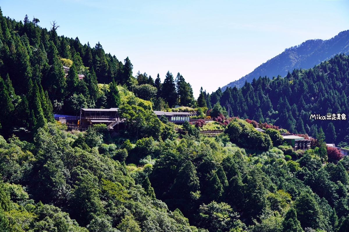 【宜蘭】蹦繃車 太平山站＆茂興懷舊步道｜穿梭在森林裡鐵道間黃色的柴油小火車，走入茂興懷舊步道間，沐浴參天巨木林中。