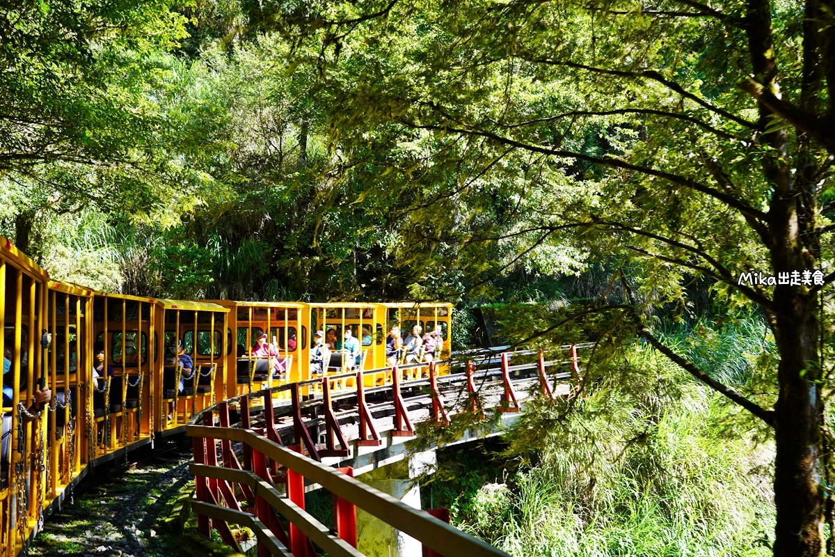 【宜蘭】蹦繃車 太平山站＆茂興懷舊步道｜穿梭在森林裡鐵道間黃色的柴油小火車，走入茂興懷舊步道間，沐浴參天巨木林中。