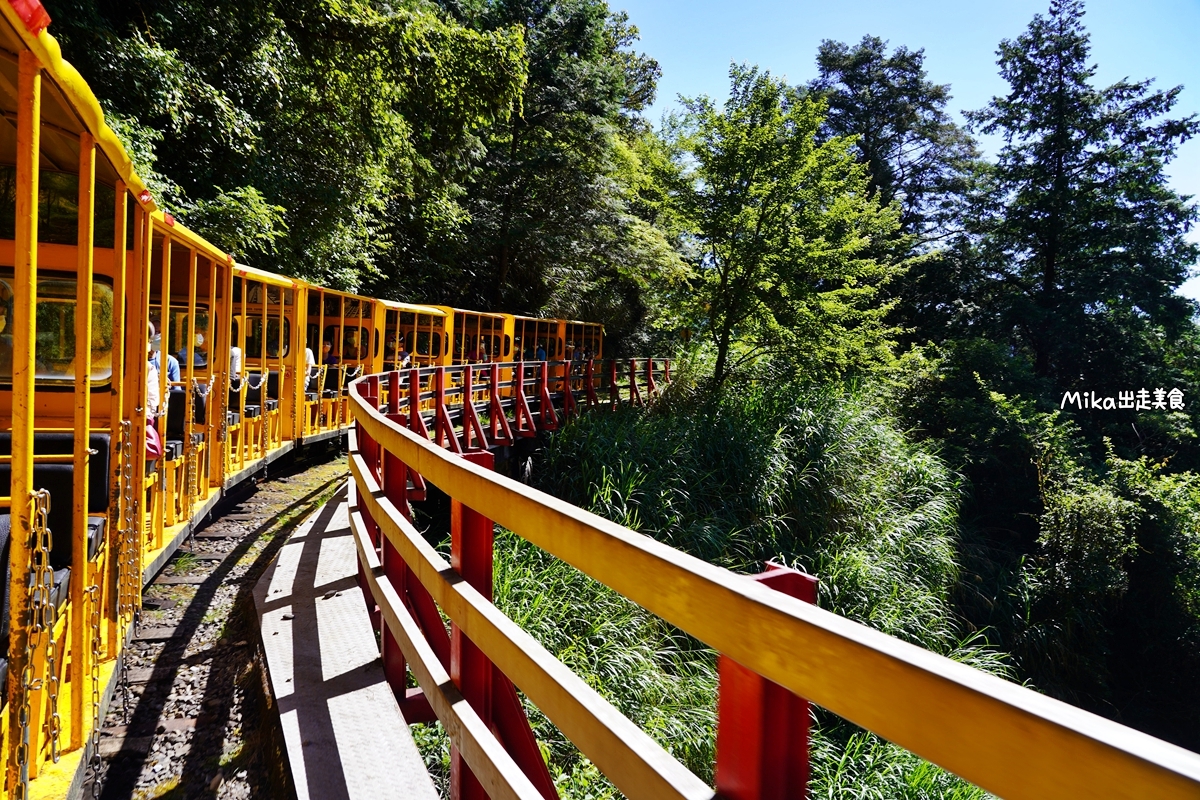 【宜蘭】蹦繃車 太平山站＆茂興懷舊步道｜穿梭在森林裡鐵道間黃色的柴油小火車，走入茂興懷舊步道間，沐浴參天巨木林中。