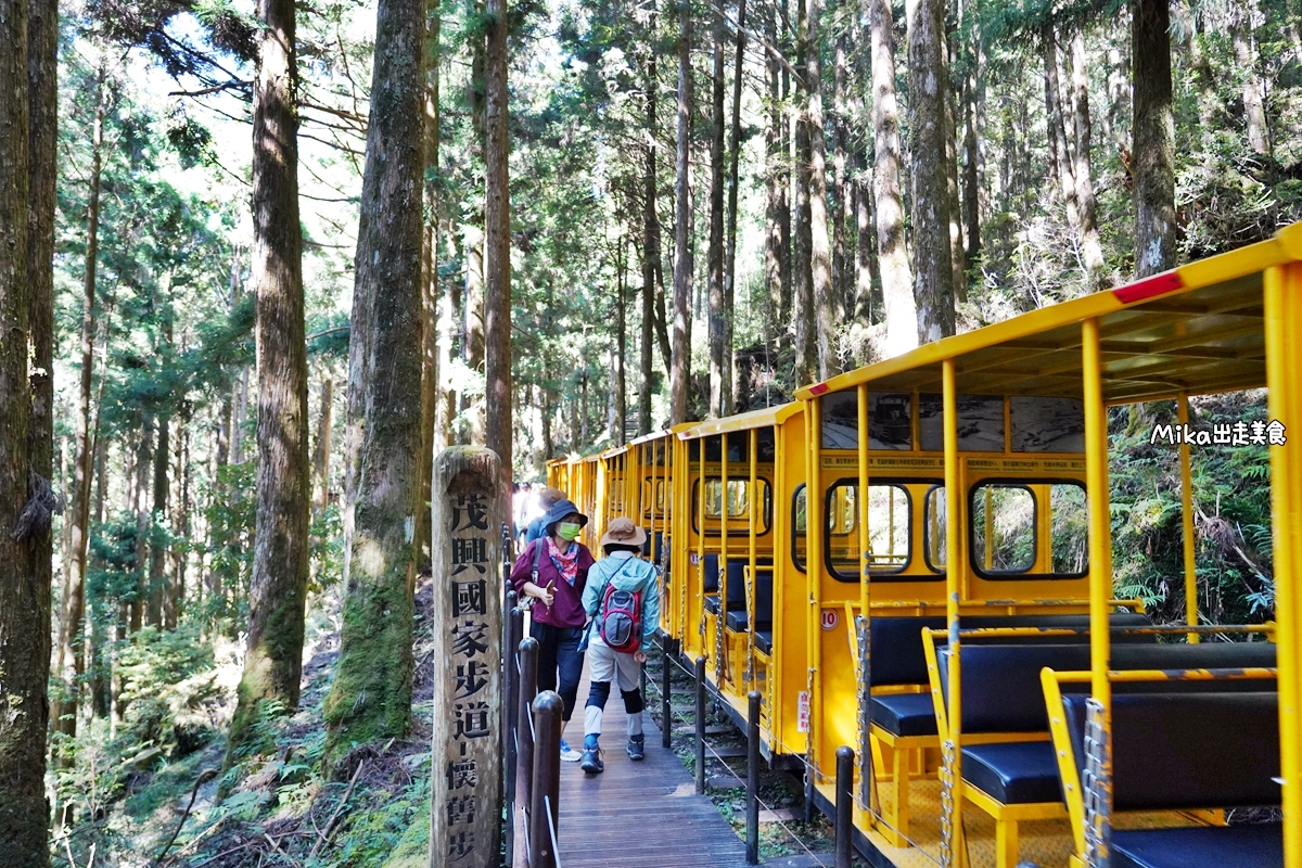 【宜蘭】蹦繃車 太平山站＆茂興懷舊步道｜穿梭在森林裡鐵道間黃色的柴油小火車，走入茂興懷舊步道間，沐浴參天巨木林中。