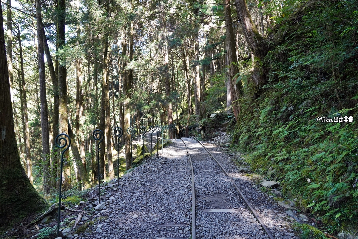 【宜蘭】蹦繃車 太平山站＆茂興懷舊步道｜穿梭在森林裡鐵道間黃色的柴油小火車，走入茂興懷舊步道間，沐浴參天巨木林中。