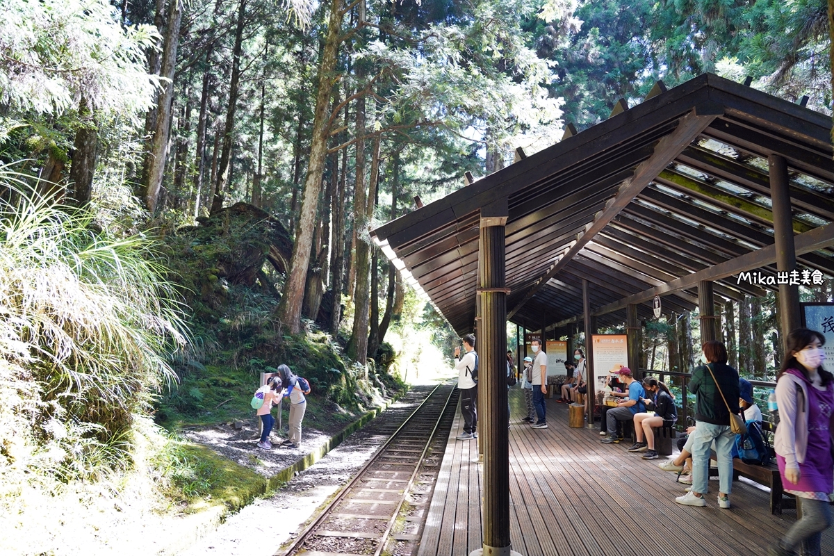 【宜蘭】蹦繃車 太平山站＆茂興懷舊步道｜穿梭在森林裡鐵道間黃色的柴油小火車，走入茂興懷舊步道間，沐浴參天巨木林中。