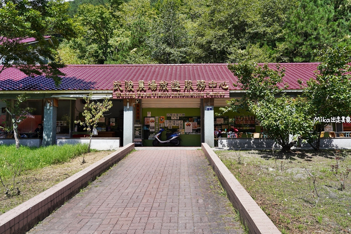 【台中】武陵農場｜沒有櫻花的武陵農場也很繽紛，春之花海、夏之果蔬、秋之楓紅、冬之瑞雪，武陵森呼吸一日遊。