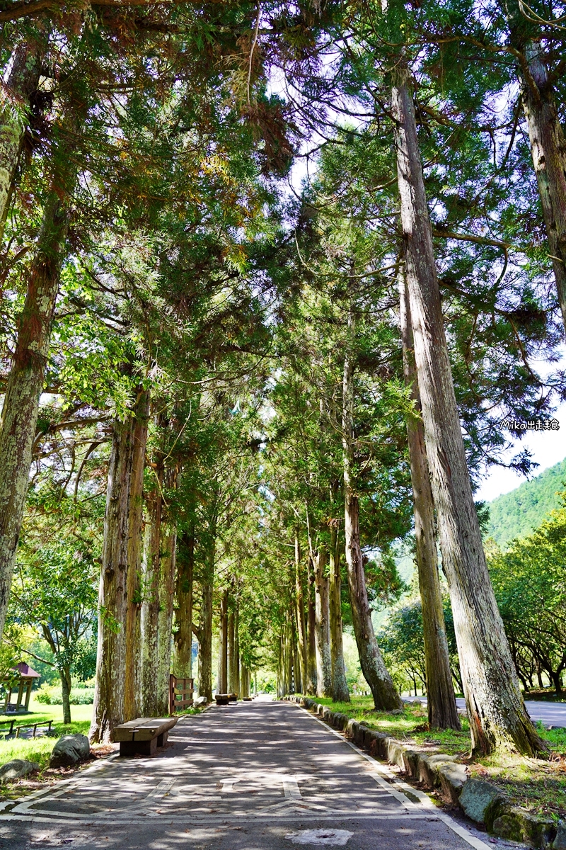 【台中】武陵農場｜沒有櫻花的武陵農場也很繽紛，春之花海、夏之果蔬、秋之楓紅、冬之瑞雪，武陵森呼吸一日遊。