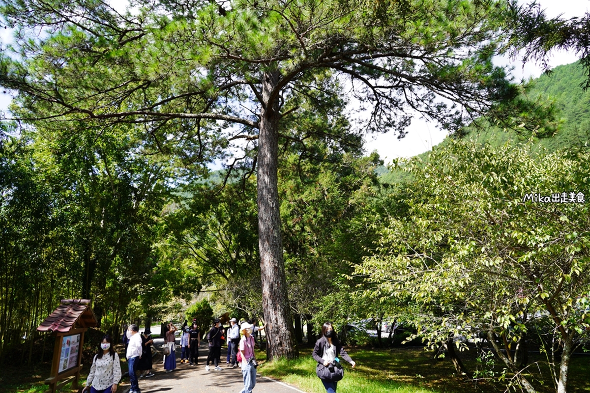 【台中】武陵農場｜沒有櫻花的武陵農場也很繽紛，春之花海、夏之果蔬、秋之楓紅、冬之瑞雪，武陵森呼吸一日遊。