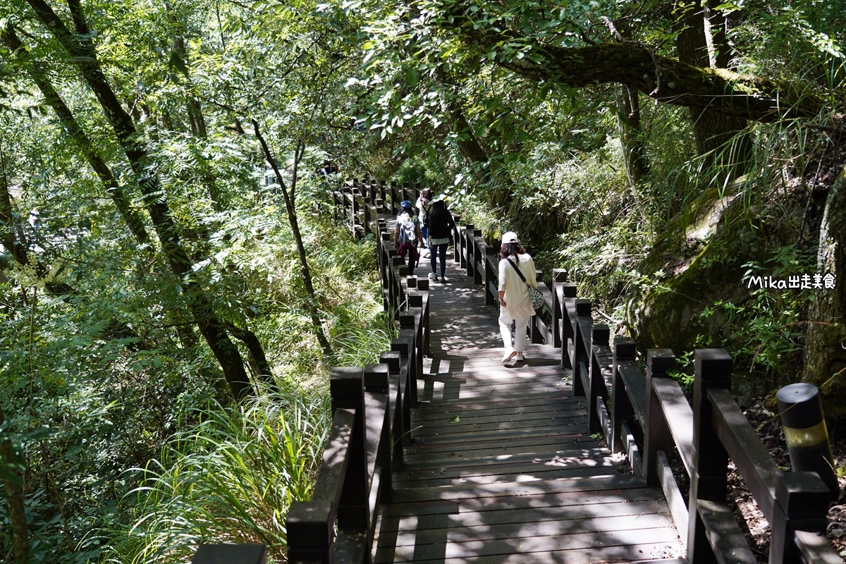 【台中】武陵農場｜沒有櫻花的武陵農場也很繽紛，春之花海、夏之果蔬、秋之楓紅、冬之瑞雪，武陵森呼吸一日遊。