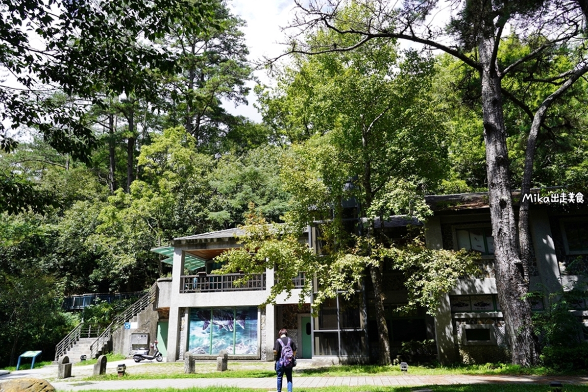 【台中】武陵農場｜沒有櫻花的武陵農場也很繽紛，春之花海、夏之果蔬、秋之楓紅、冬之瑞雪，武陵森呼吸一日遊。