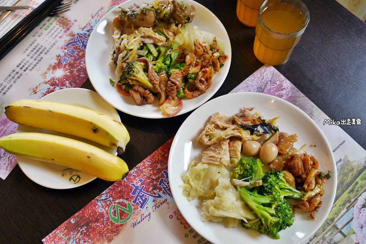 【台中】武陵農場｜沒有櫻花的武陵農場也很繽紛，春之花海、夏之果蔬、秋之楓紅、冬之瑞雪，武陵森呼吸一日遊。