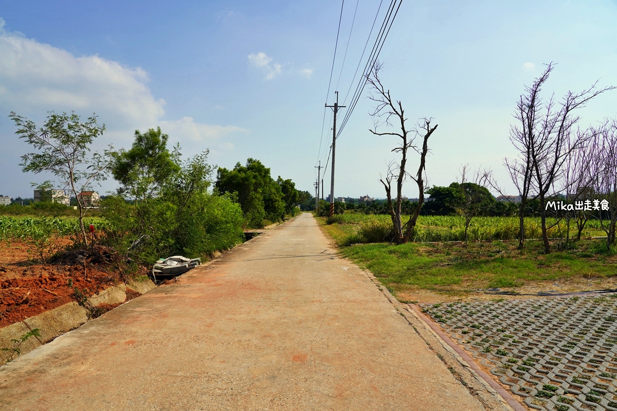 【金門】 白貓民宿：慢活金門住這裡｜距離鬧區開車只要7分鐘，住田中央獨棟別墅 一晚千元左右，還有三隻可愛胖貓咪陪玩喔。