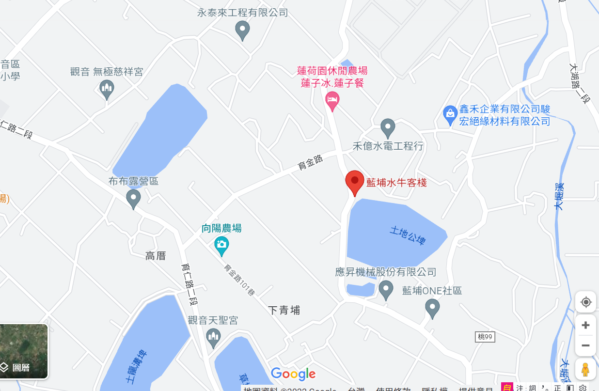 【桃園】 觀音 藍埔水牛客棧｜超神秘 真的沒誤闖民宅，沒招牌 三合院內隱藏版 台灣水牛料理，大鋼盆牛腩火鍋好驚人！炒牛肉、鯊魚必點，還有鹹酥鴨外酥內嫩 有夠多汁。