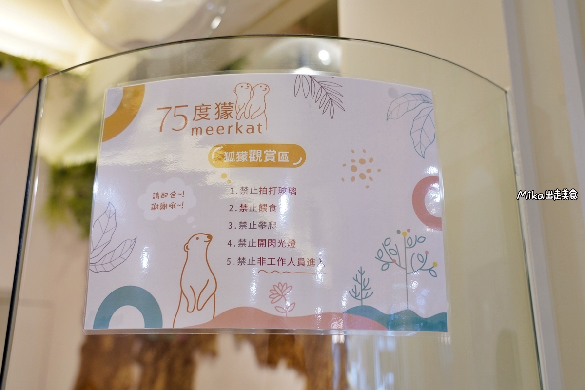 【台北】 Meerkat75 Café – 75度獴｜小巨蛋周邊咖啡廳美食推薦，採預約制，有超萌超可愛的駐店狐獴陪你喝咖啡，還可以親密互動10分鐘喔。