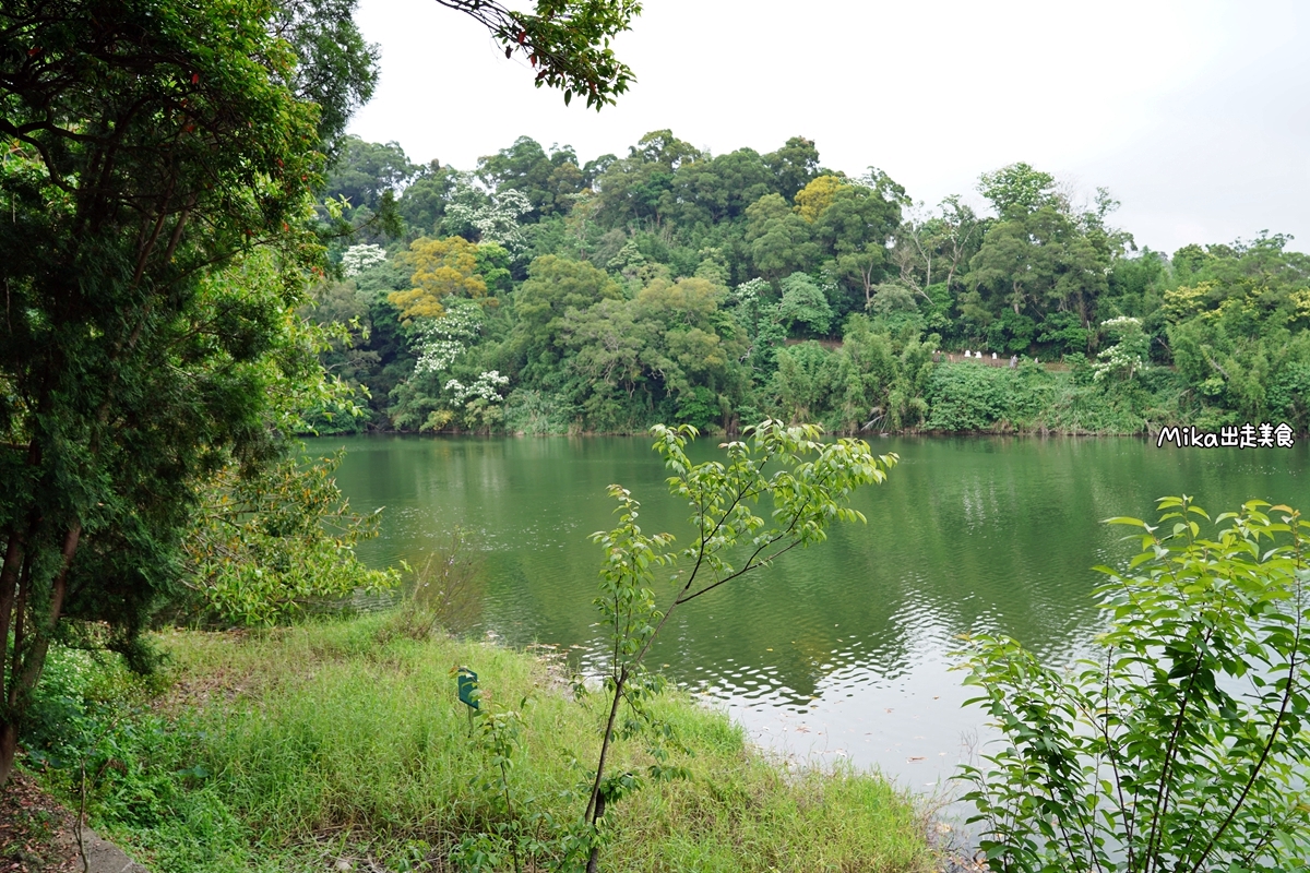 【新竹】 寶山水庫 沙湖壢咖啡館+漣漪書屋｜寶山水庫半日遊，竹林深處 湖景第一排 磚瓦老宅咖啡屋，享受書香湖景不限時。