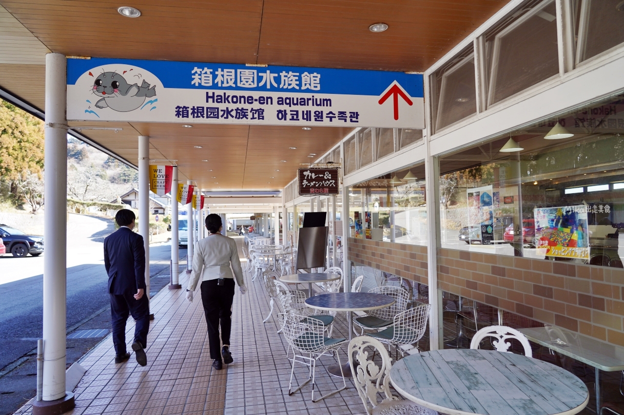 【日本】 神奈川 箱根園水族館 Hakone-en Aquarium｜只要門票300元有找的日本第一高水族館，充滿自然光線 會發光的夢幻高 7 公尺的露天大水槽，還有超美水母以及會泡湯超萌海豹。