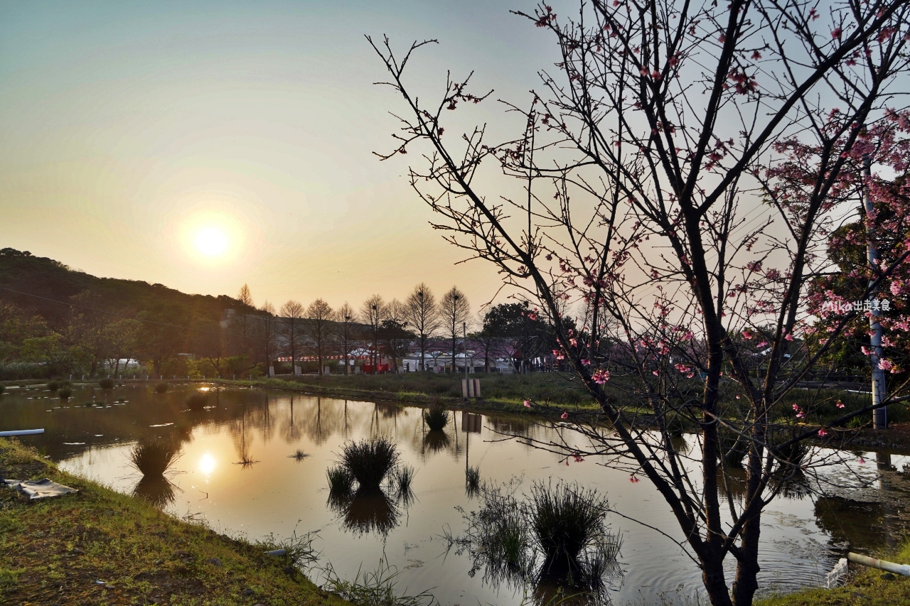 【新北】 蒔花好綻 三芝櫻花季｜就是這週末，三芝櫻花季 3/18粉紅登場，賞櫻步道健行闖關趣，還有櫻花市集, 現場浴衣、拔蘿蔔DIY等精彩體驗…等你來玩。